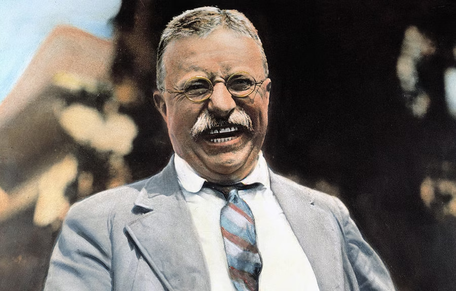 The Rise of Theodore Roosevelt